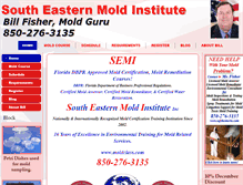 Tablet Screenshot of moldclass.com